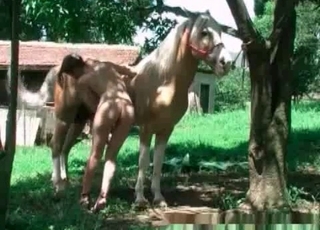 Horse enjoying masturbation action