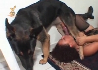 Crazy sex session with a tiny dog
