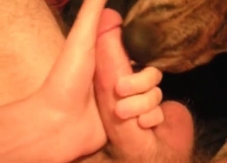 Dog enjoying this blowjob session