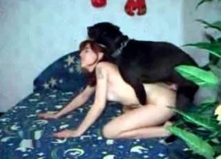 Hardcore bestiality goes off the rails