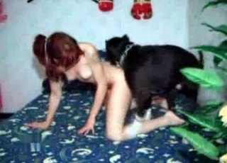 Hardcore bestiality goes off the rails