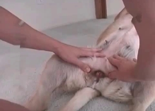 Sexed-up zoophile is into ruthless fucking