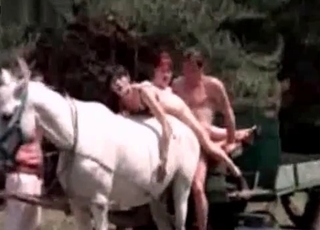 Sexy stallion fucked by a horny dude