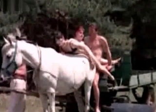 Sexy stallion fucked by a horny dude