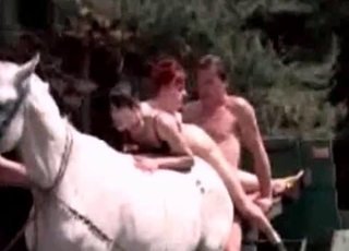 Sexy stallion fucked by a horny dude