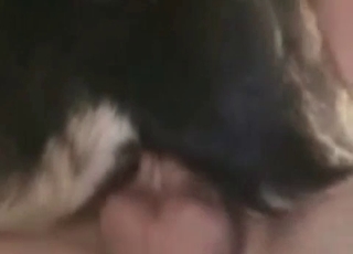 Fucking and licking that dirty dog