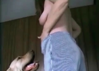 Amateur sex session with animals