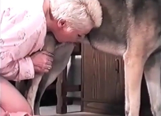 Dog gets seduced by a kinky owner