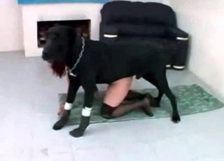Insane dog and a submissive slut