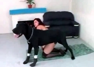 Insane dog and a submissive slut
