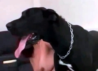 Insane dog and a submissive slut