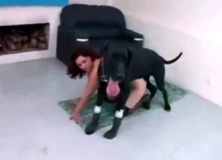 Insane dog and a submissive slut