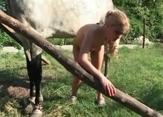 Skinny blonde takes a huge horse cock