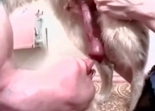 Weird-looking dog cock in HD