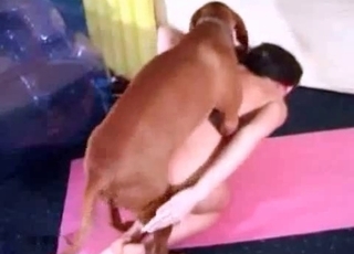 High-energy sex with an intense dog