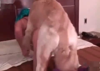 Horny dog enjoying crazy oral sex