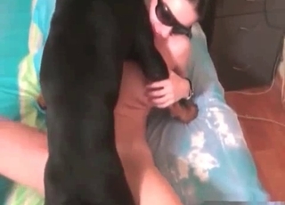 Dirty dog decides to gape that slit