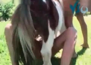 Horse enjoys hardcore outdoors sex