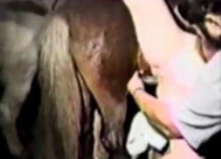 Horny animals fucking in a barn