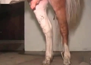 Hardcore fucking with a kinky horse