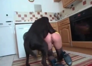 Doggy style drilling with a brunette