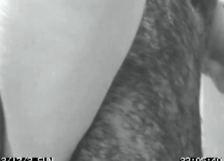 Great blowjob with a horny dog
