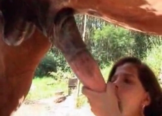 Insane horse gets a deepthroat blowjob