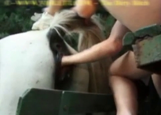 Hardcore fisting for a horny-ass horse