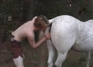 Horse gets stroked and seduced