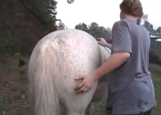 Horse gets stroked and seduced
