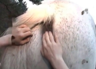 Horse gets stroked and seduced