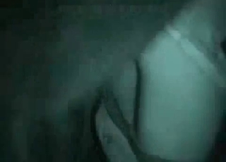 Horse seducing a cute-looking chick