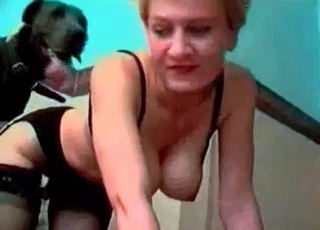 Busty beauty getting licked by a dog