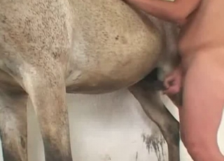 Tight pussy serviced by a horny beast