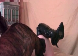 Twisted pet wants to fuck the owner