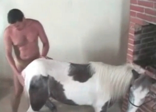Pony gets pounded from behind