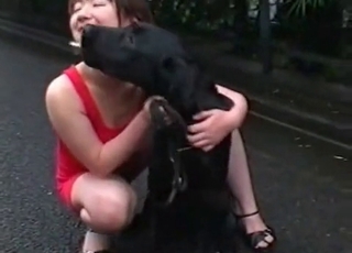 Kinky dogs seducing a zoophile chick