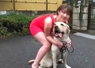Kinky dogs seducing a zoophile chick