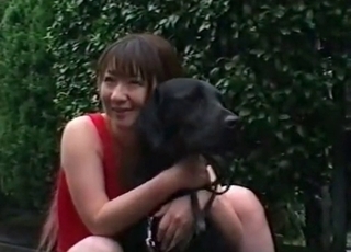 Kinky dogs seducing a zoophile chick