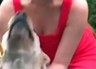 Kinky dogs seducing a zoophile chick