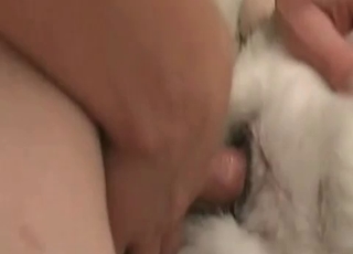 Anal fucking with a tight asshole dog