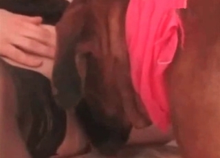 Dripping pussy juices licked off by a dog