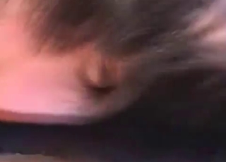 Horny dude fucking this dog's asshole