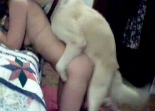Girl wants to fuck this white dog