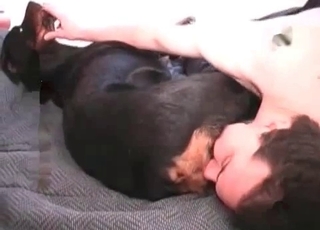 Innocent dog gets gaped on camera