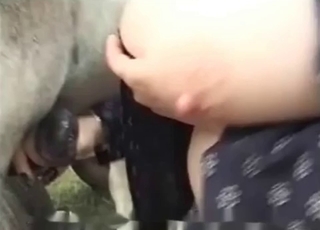 Animal cocks sucked by a beautiful zoophile