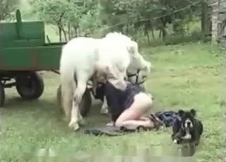 Animal cocks sucked by a beautiful zoophile