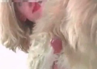 Dog's cock getting pleasured here