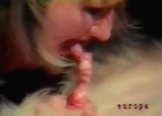 Highlight reel of the hottest animal BJs