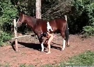 Horny-ass babe undressing to seduce a horse